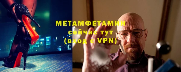 спиды Богданович
