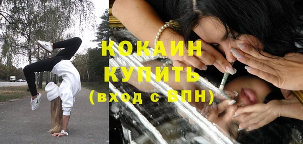 спиды Богданович