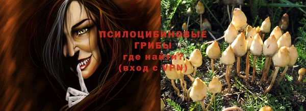 спиды Богданович