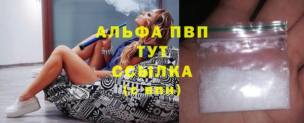 спиды Богданович