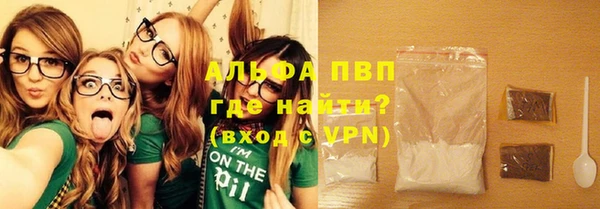спиды Богданович