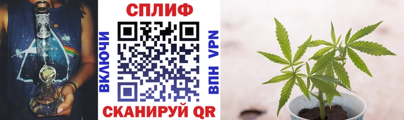 Марихуана OG Kush  купить  цена  Белоярский 
